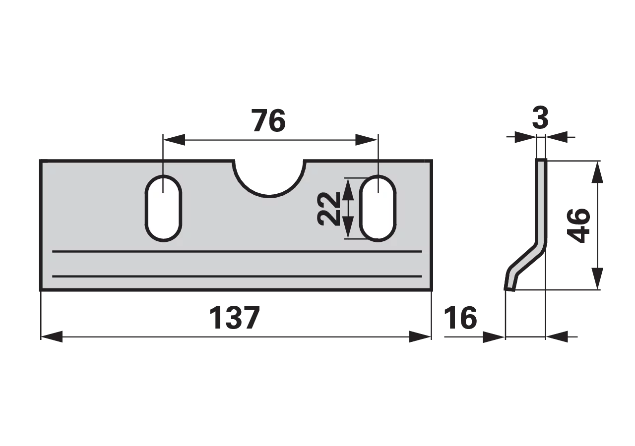 Reibplatte L 138 mm – passend für Busatis BS108 GartenShop24