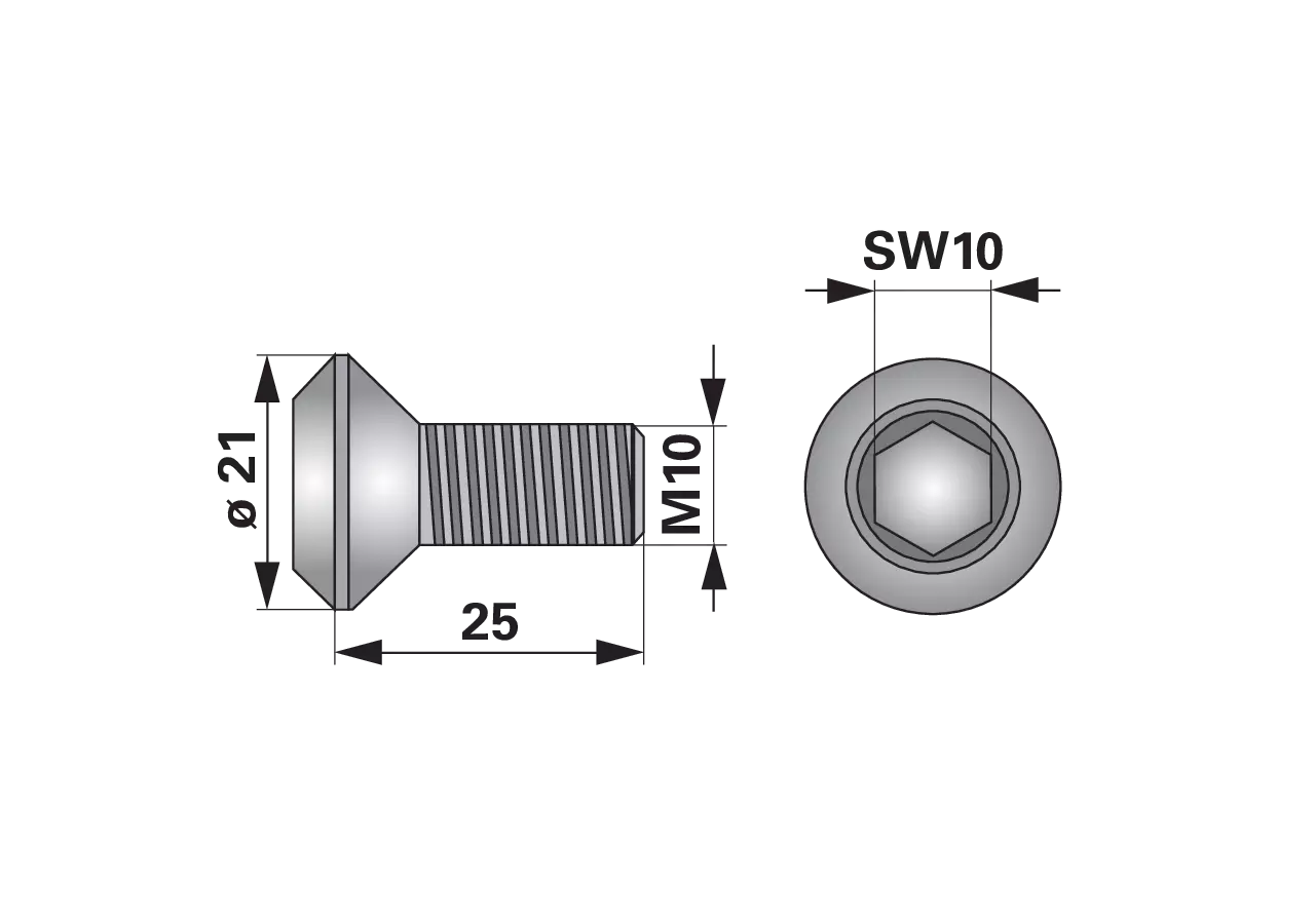 Innensechskantschraube M10 x 25 mm, 10 Stück – passend für Vogel und Noot SS001 GartenShop24
