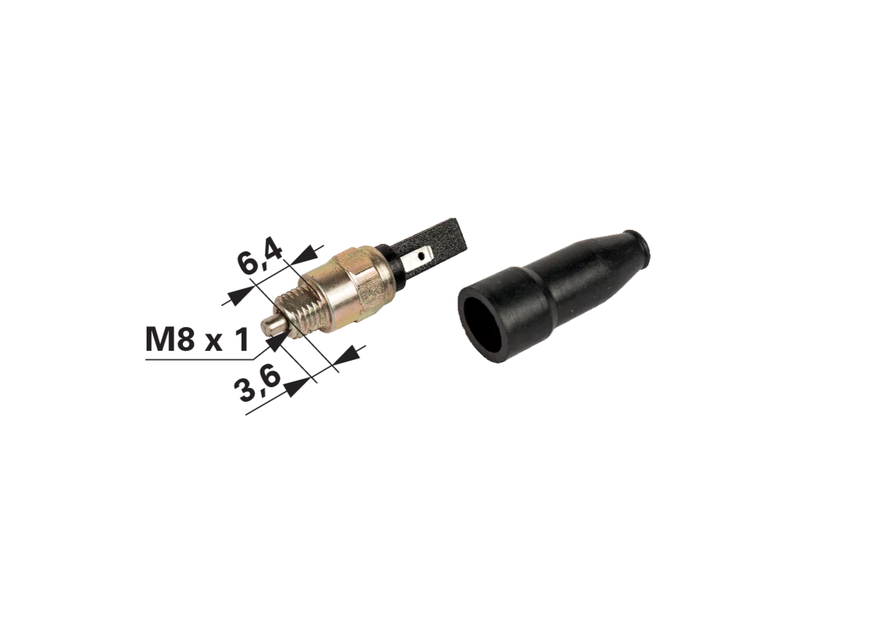 Sicherheitsschalter Reform 900.540.982 GartenShop24