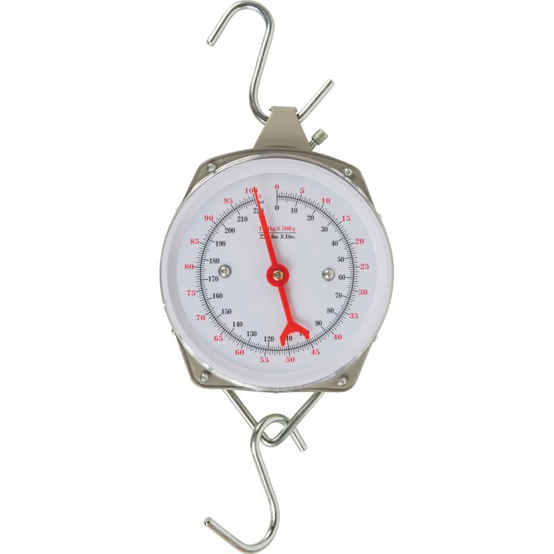 Zeigerschnellwaage mit Metallhaken 100 kg 500 g Wägeunterteilung, mechanische Waage