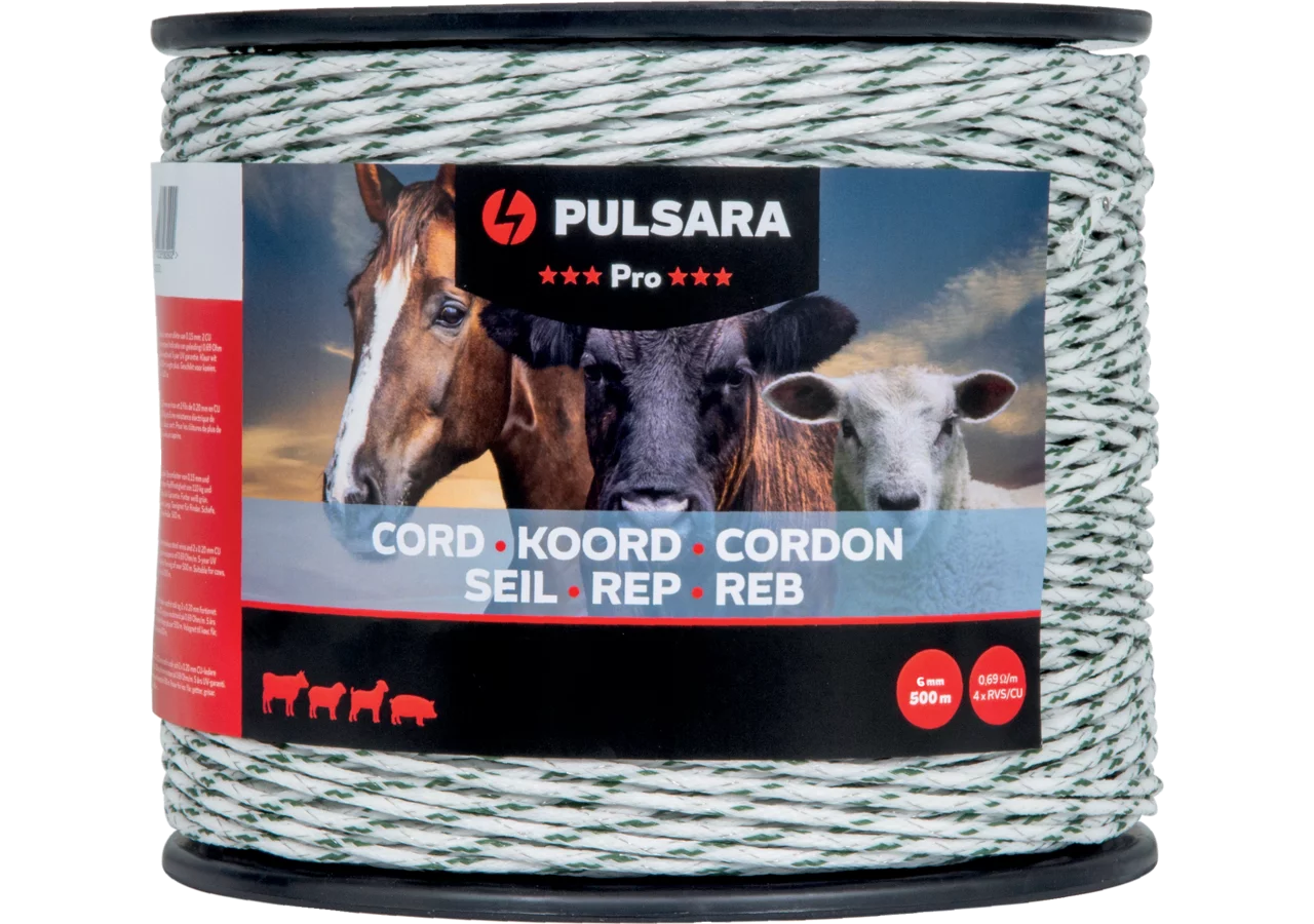 Seil Pro, AD 6 mm x L 500 m, Weiß-Grün Pulsara 085057 Pulsara