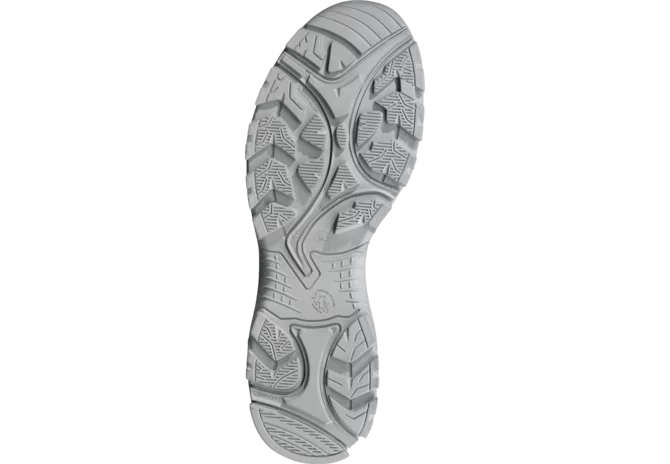 Sicherheitsschuh BLACK EAGLE Safety 410C, GTX, grey Haix