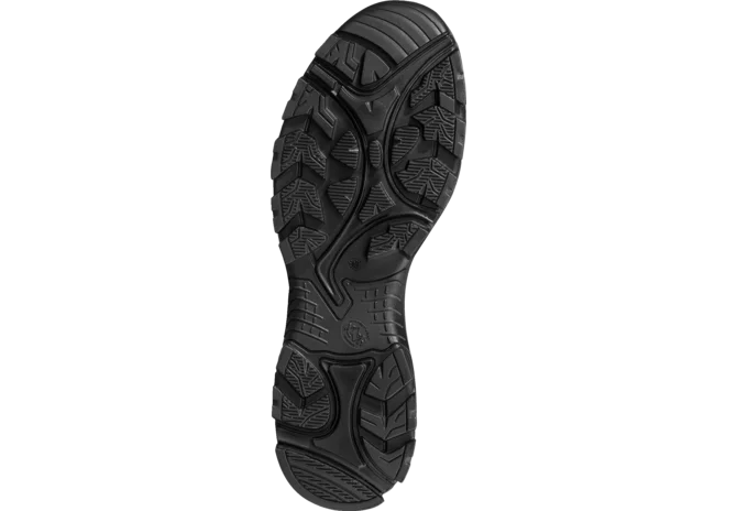 Sicherheitsschuh BLACK EAGLE Safety 610 V, GTX, black Haix