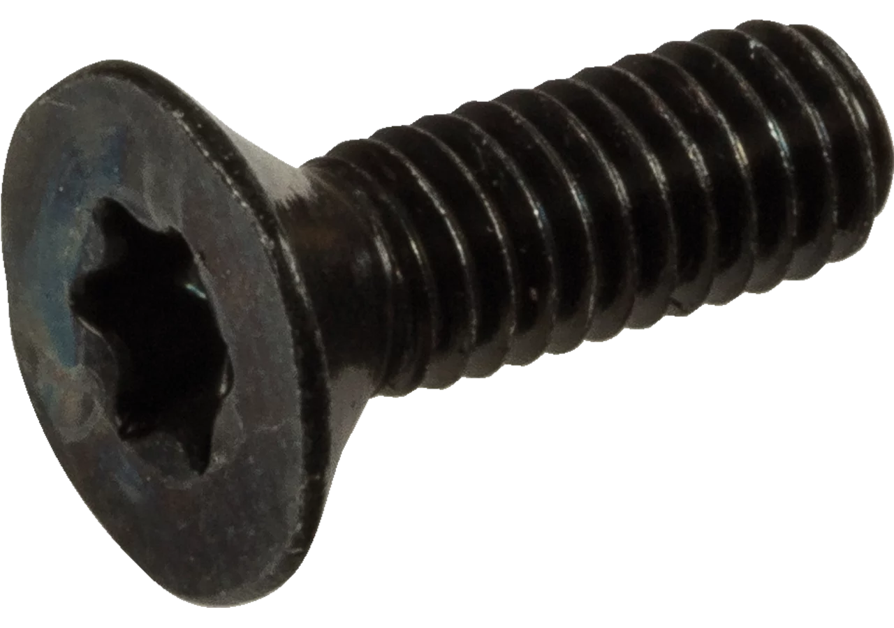 Senkschraube M 4 x 10 mm passend zu 00768423, 00768421, 00768309, 00768308 Eder