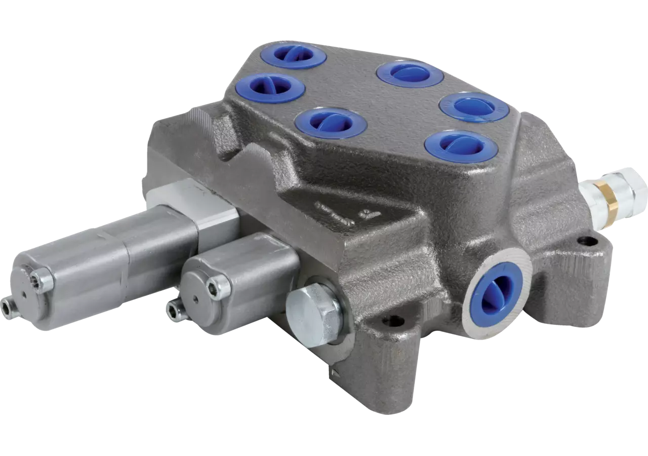 Monoblockventil DN85/2 A1N7+PW Bondioli & Pavesi