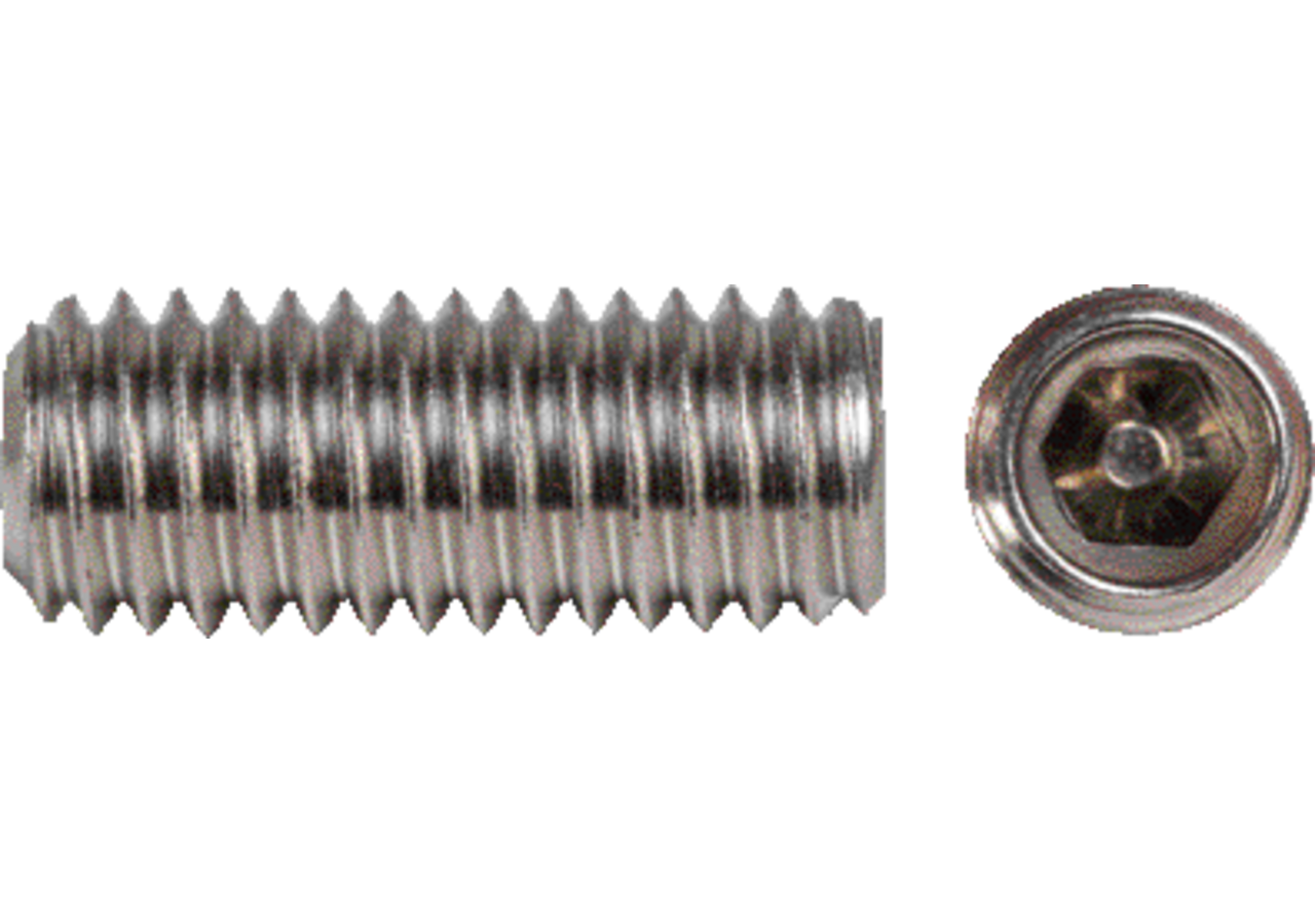 Gewindestift M3 x 8 mm V4A Edelstahl , DIN916 GartenShop24