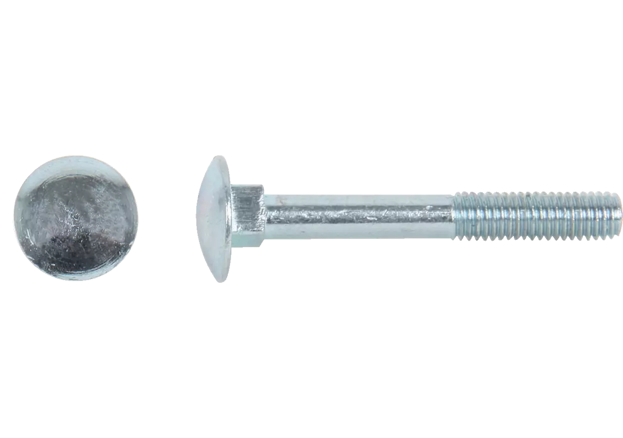 Flachrundschraube M10 x 20 mm, Güte 8.8 mit Vierkantansatz ohne Mutter, Stahl verzinkt, DIN603 GartenShop24