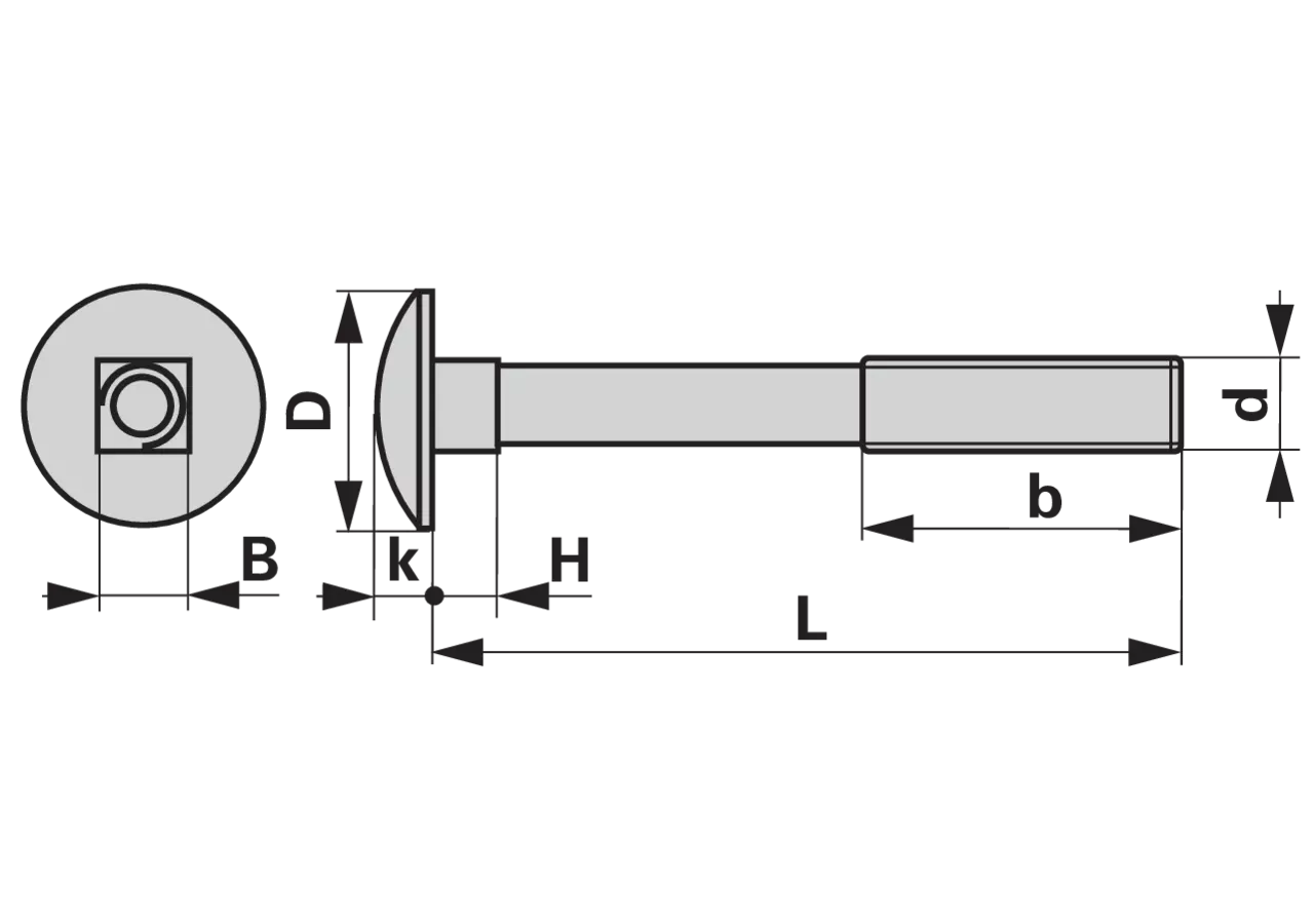Flachrundschraube M10 x 30 mm, Güte 8.8 mit Vierkantansatz ohne Mutter, Stahl verzinkt, DIN603 GartenShop24