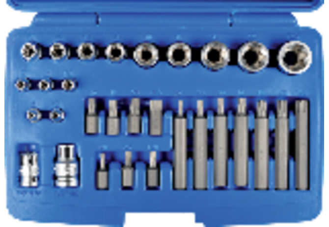 Kombi-Schraubergarnitur 30-teilig, T und E - Profileinsätze mit 1/4 - 3/8 - 1/2 Zoll Antrieb SW-Stahl