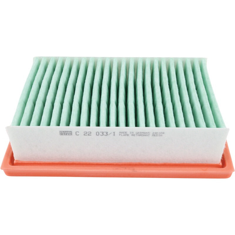 MANN FILTER Luftfilter C 22 033/1 MANN FILTER