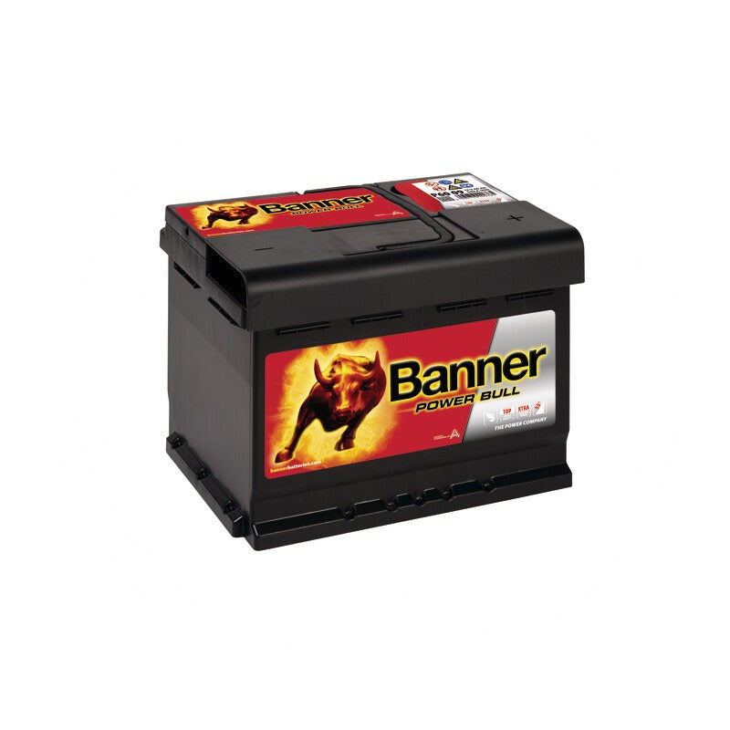 Banner Starterbatterie 60Ah – 241 mm