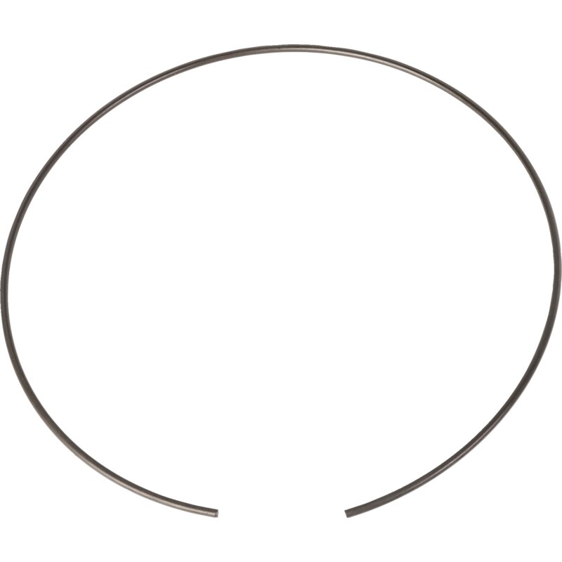 Ring McCormick 3654313M1 – Original-Ersatzteil mit 190 mm Innendurchmesser
