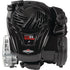 BRIGGS & STRATTON Motor – 09P6020036H1YY0001 – Bild 6