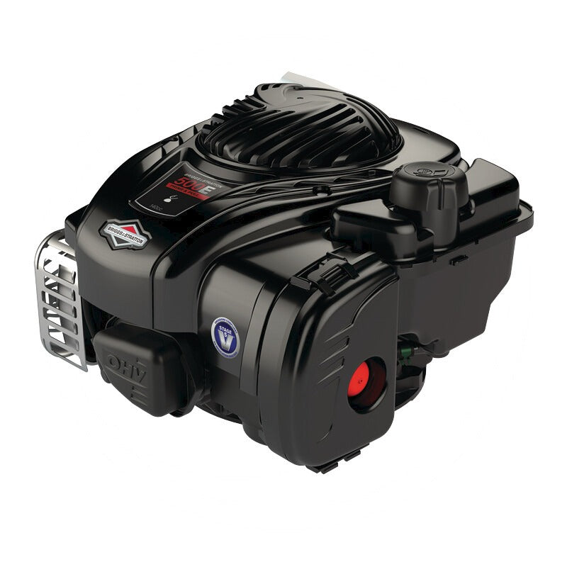 BRIGGS & STRATTON Motor – 09P6020036H1YY0001 – Bild 8