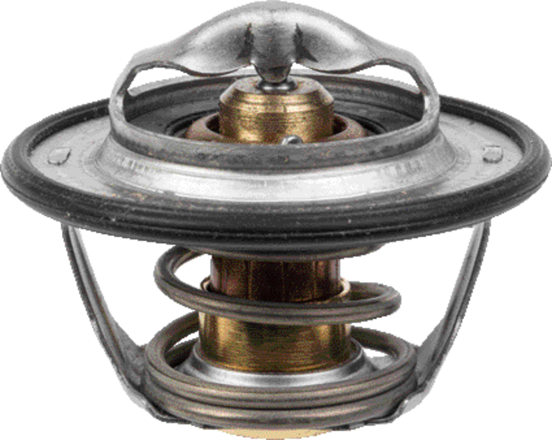McCormick Thermostat 4215605M1, 4215605M2 McCormick