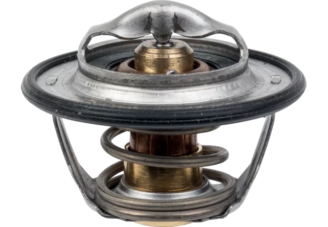 McCormick Thermostat 4215605M1, 4215605M2 McCormick