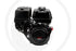 HONDA Motor Serie/Modell GX390 / GX390UT2XQA4 – Bild 3