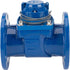 irritec Wasserzähler Serie AWO E, DN125, 100m³/h – IAAWOE0000112 – Bild 2