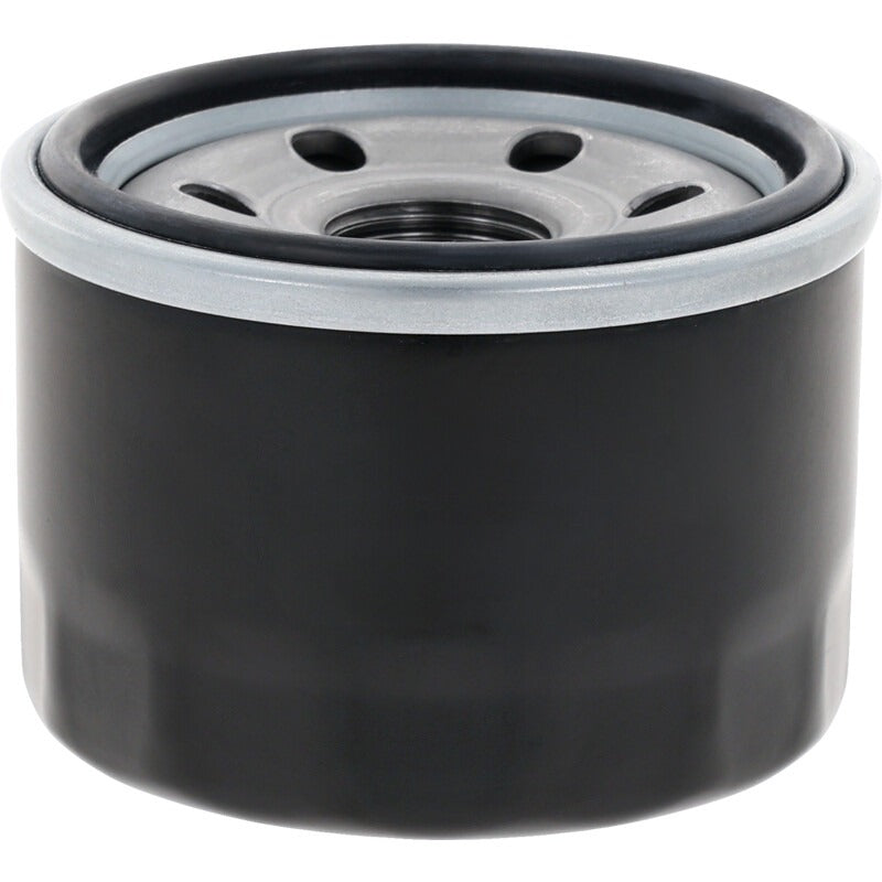 LONCIN Motorölfilter passend für LC1P91F, LC1P96F