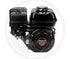 HONDA Motor Serie/Modell GX160 / GX160UT2XSG24 – Bild 3