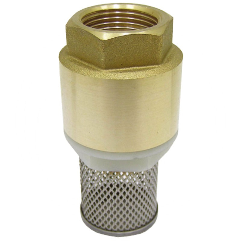 GRANIT Rückschlagventil Anschluss 1 1/2" IG