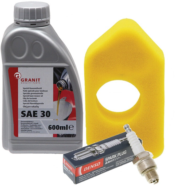 GRANIT Wartungs-Kit passend für BRIGGS & STRATTON Serie/Modell Serie 450, 550, 600