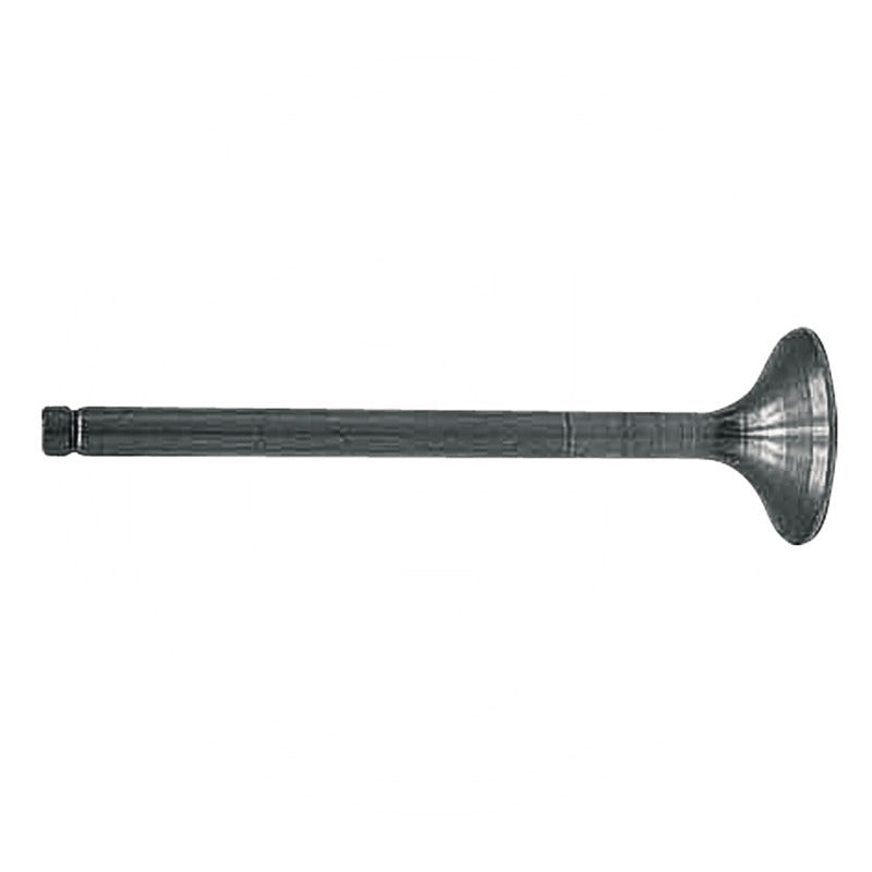 GRANIT Einlassventil – 3055055R1