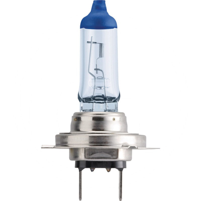 PHILIPS VPE2 Halogenlampe H7 passend für Abblendlicht, Fernlicht, Nebelscheinwerfer