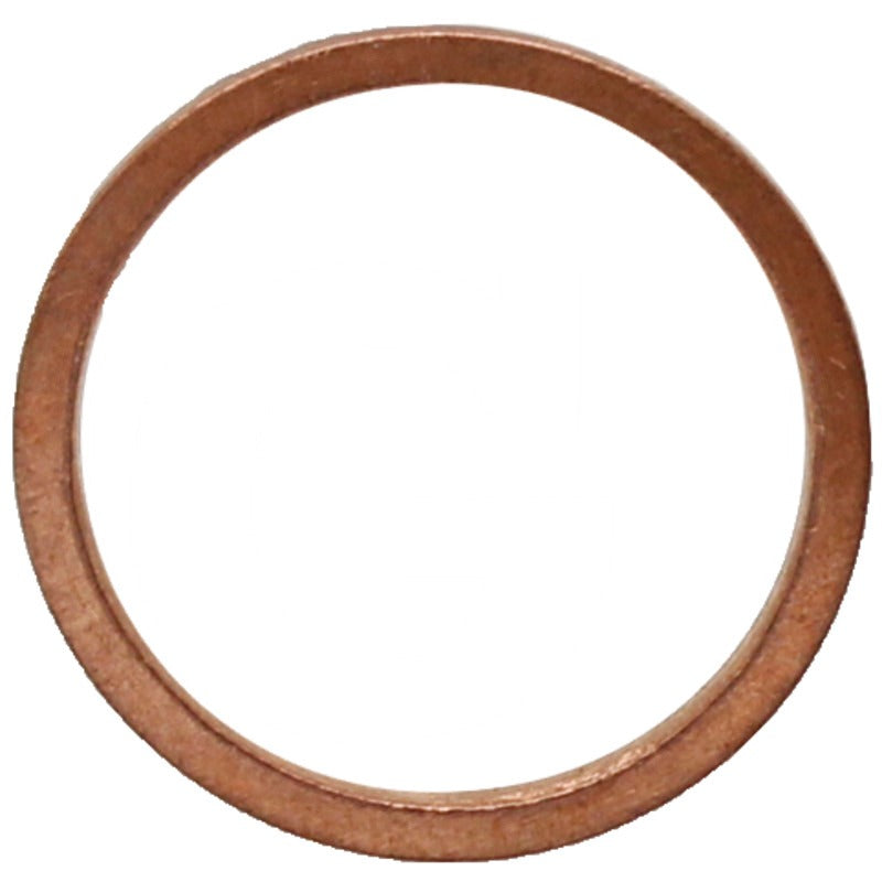 ZF Kupfferring – 0634801057