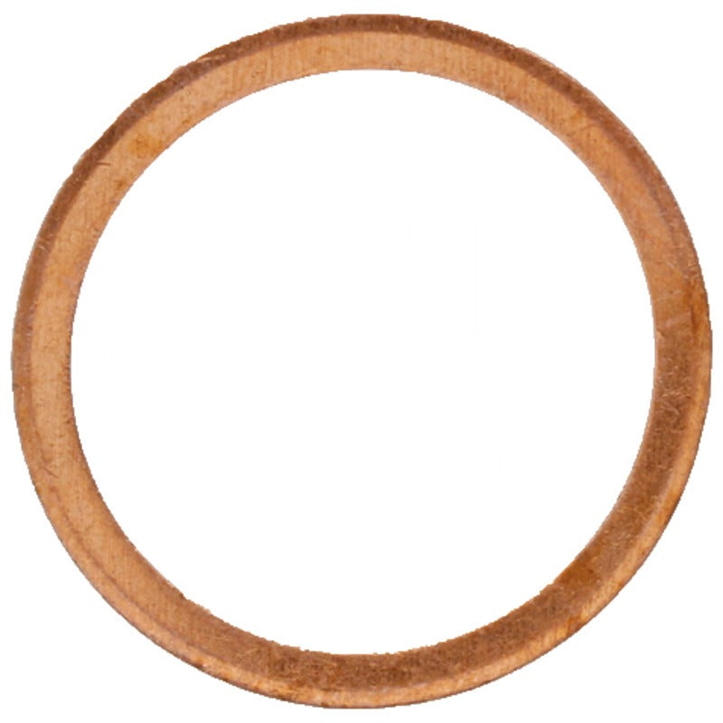 ZF Dichtring – 0634.801.074