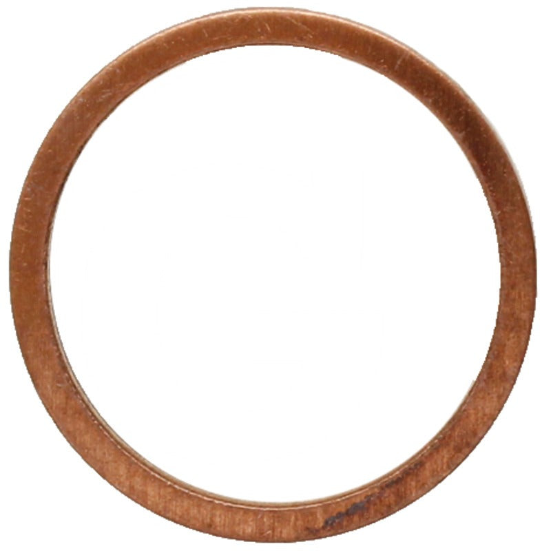 ZF Kupferring – 0634.801.200