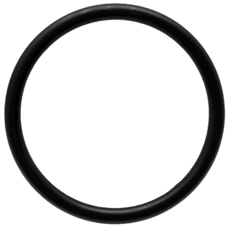 ZF O-Ring – 0734.303.031