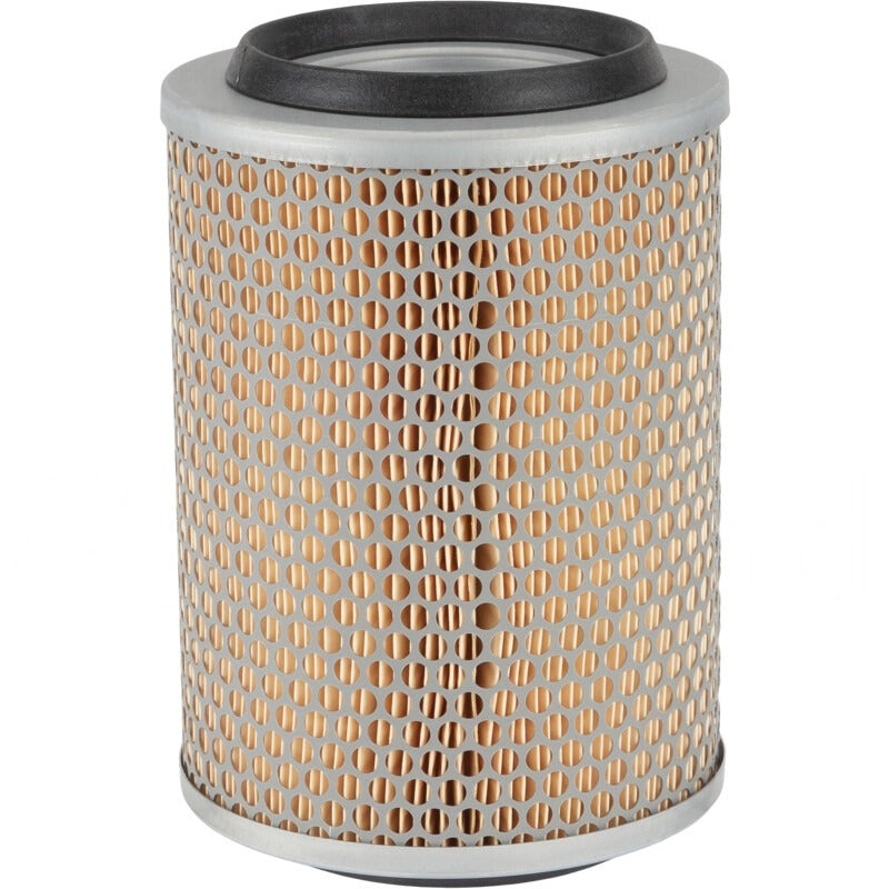 MANN FILTER Luftfilter C 17190 MANN FILTER