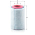 MANN FILTER Luftfilter C 17237/1 MANN FILTER