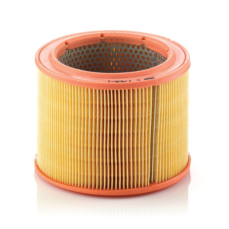 MANN FILTER Luftfilter C 1760/1 MANN FILTER