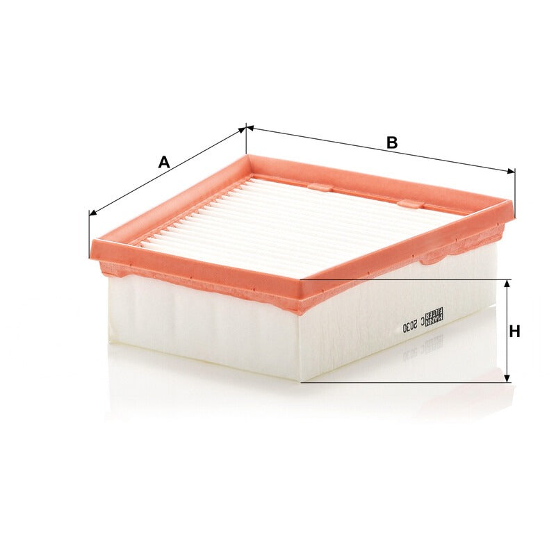 MANN FILTER Luftfilter C 2030 MANN FILTER