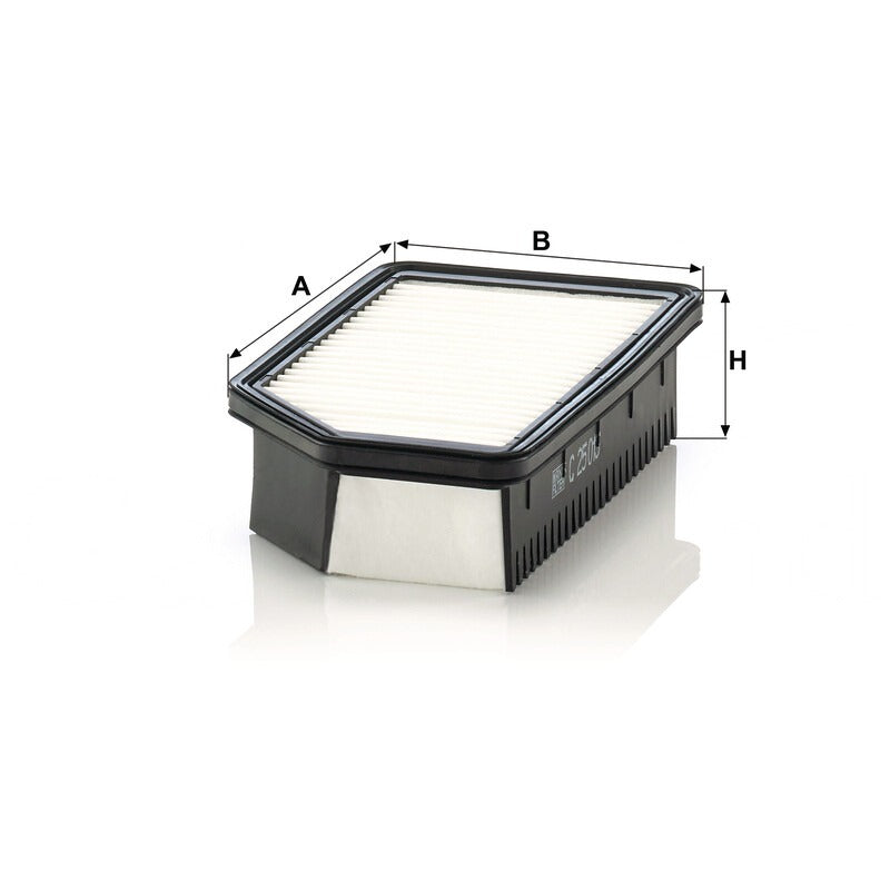 MANN FILTER Luftfilterelement C 25013 MANN FILTER