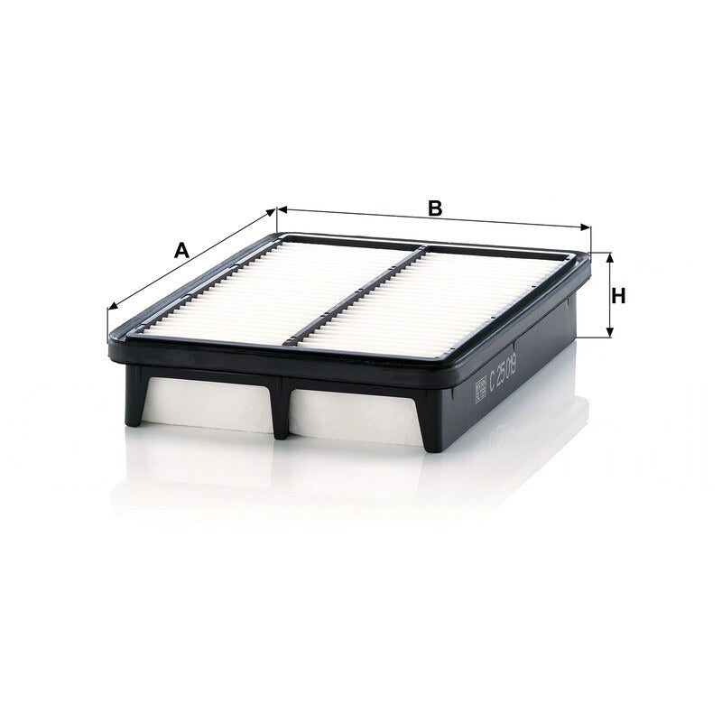 MANN FILTER Luftfilterelement C 25019 MANN FILTER