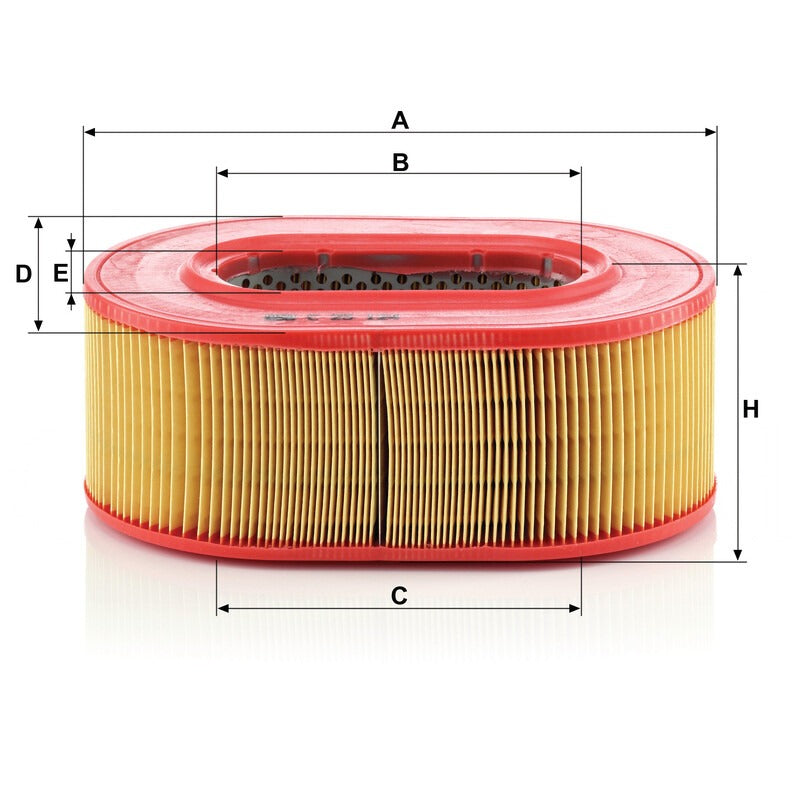 MANN FILTER Luftfilter C 25124 MANN FILTER
