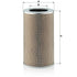 MANN FILTER Luftfilter C 25860 MANN FILTER