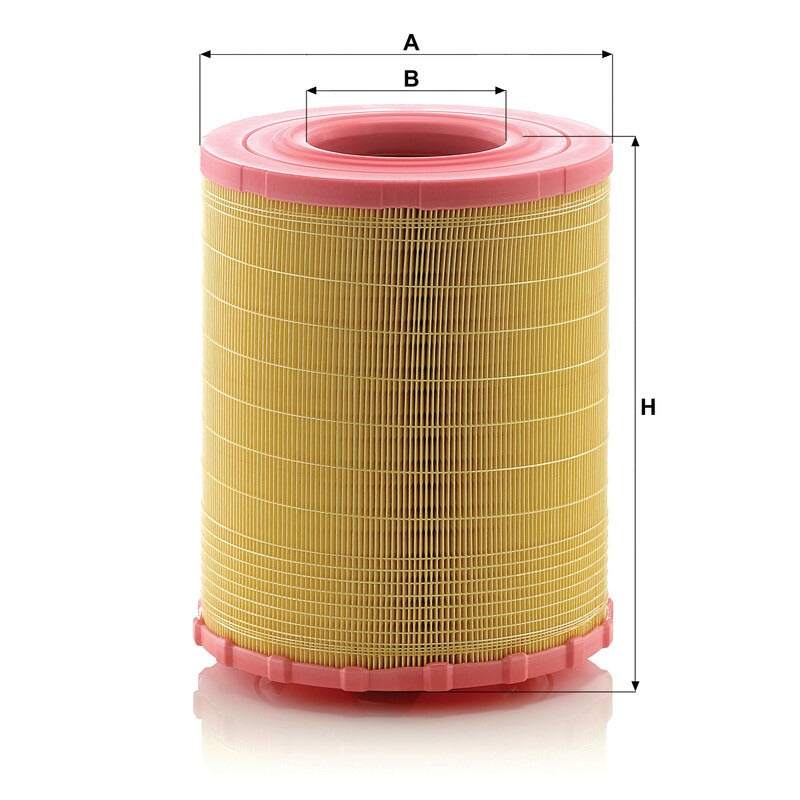 MANN FILTER Luftfilter C 29 010 Satz MANN FILTER