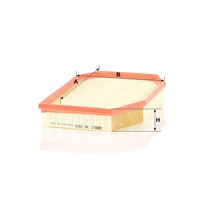MANN FILTER Luftfilter C 30003 MANN FILTER