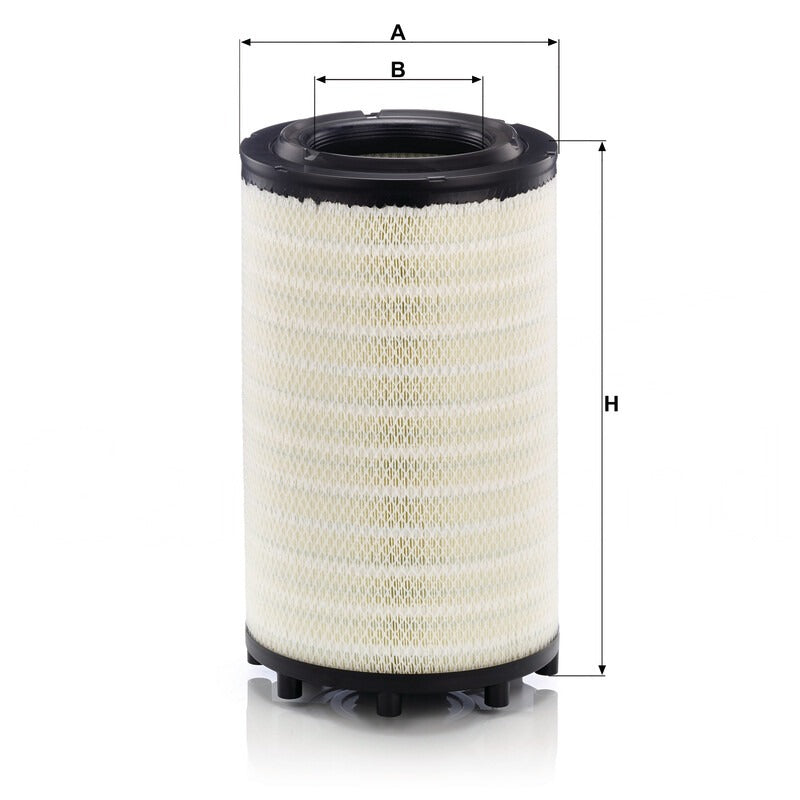 MANN FILTER Luftfilter C31017 MANN FILTER