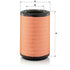 MANN FILTER Luftfilter C 31 1254 MANN FILTER