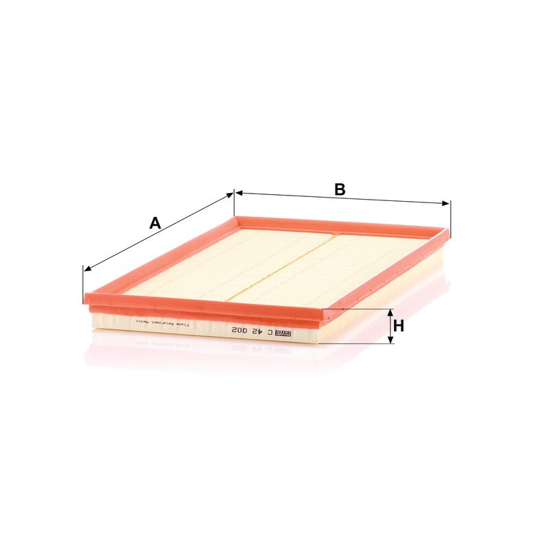 MANN FILTER Luftfilter C 42 002 MANN FILTER