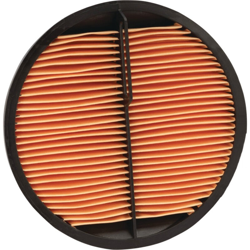 MANN FILTER Luftfilter CF 2420 MANN FILTER