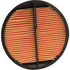 MANN FILTER Luftfilter CF 2420 MANN FILTER