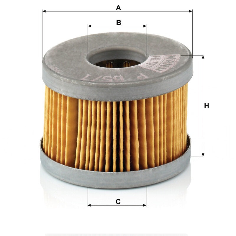 MANN FILTER Kraftstofffilter P 65/1X MANN FILTER