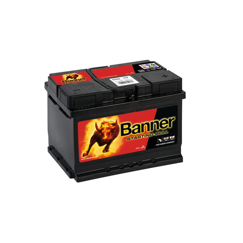 Banner Starterbatterie 12V 55Ah – 241 mm