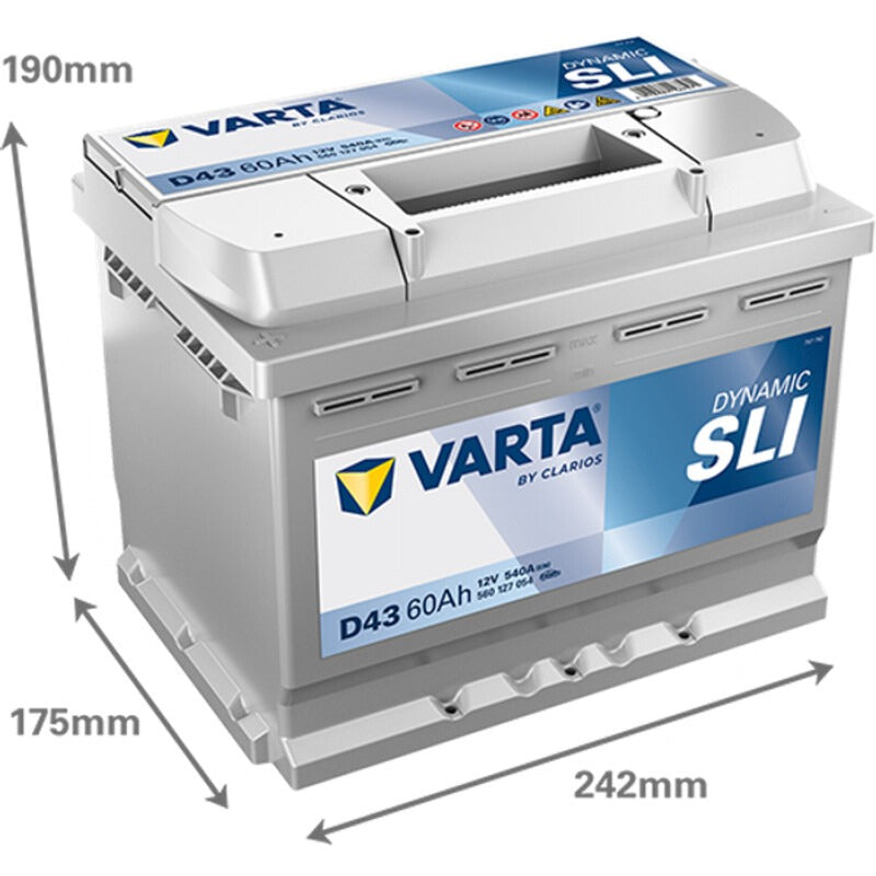VARTA Batterie Blue Dynamic 12 V / 60 Ah – 242 mm